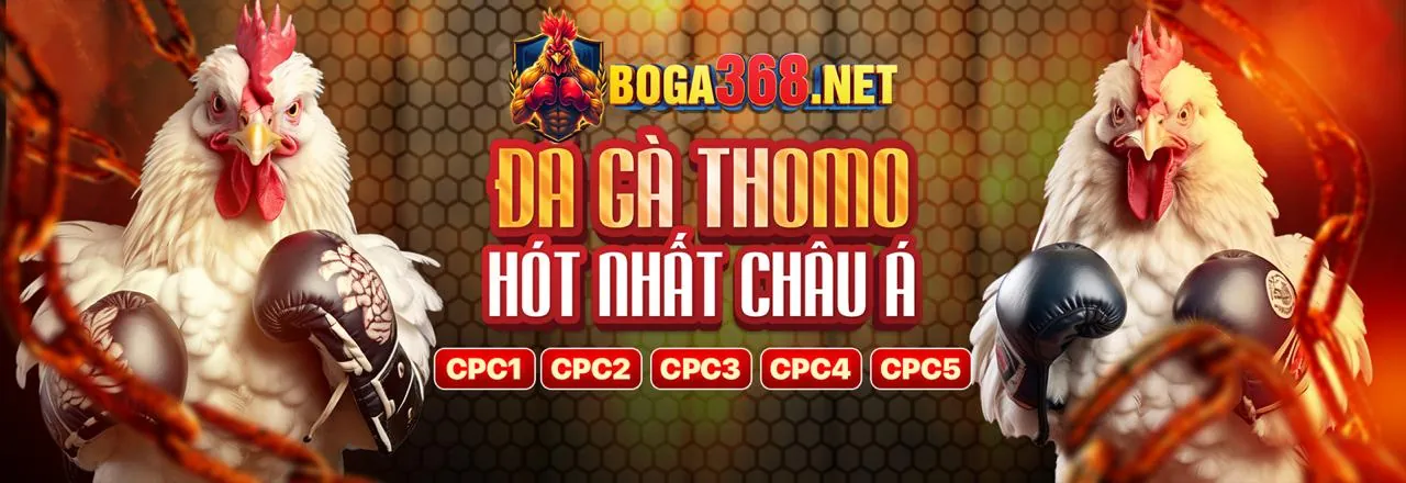 Hình ảnh tượng trưng cho khái niệm chơi có trách nhiệm, với các yếu tố kiểm soát và cân bằng trong cá cược